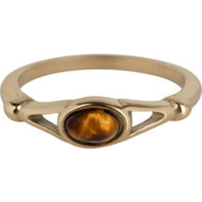 Goud stainless steel tijgeroog ring