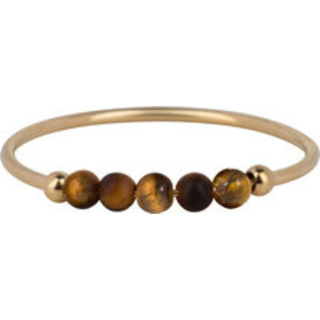 Charmins Goud stainless steel tijgeroog ring
