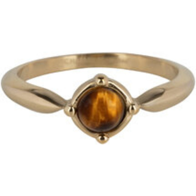 Goud stainless steel tijgeroog ring