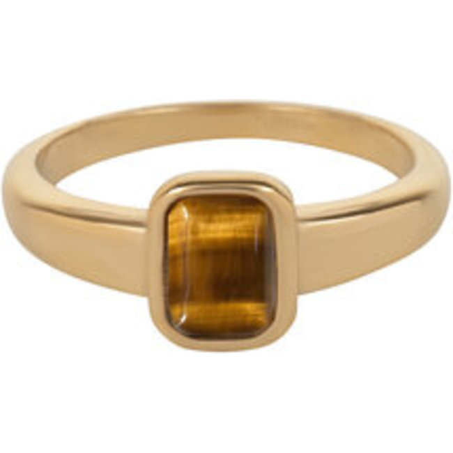Goud stainless steel tijgeroog ring