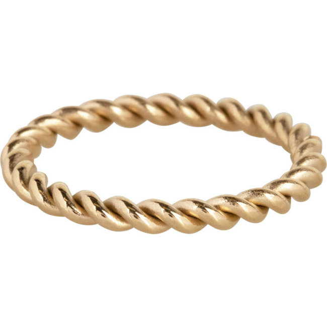 Charmins Goud stainless steel tijgeroog ring