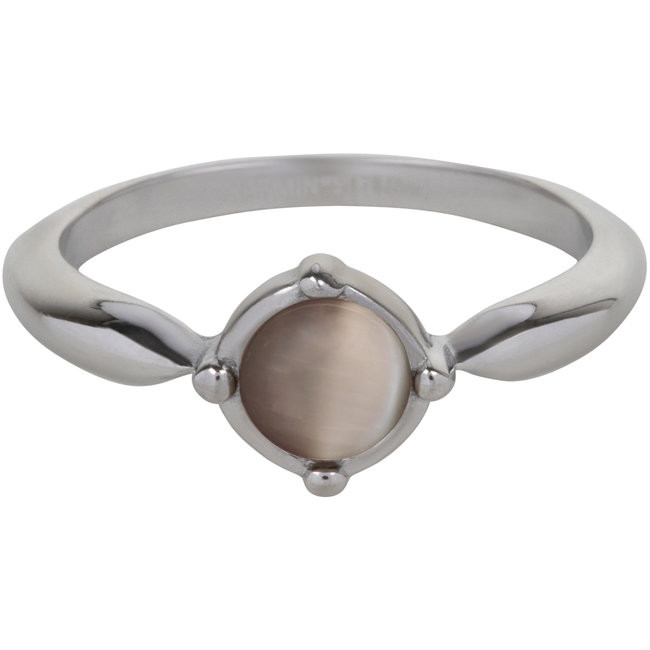 Stainless steel tijgeroog ring