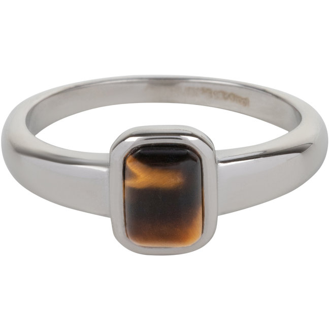Stainless steel tijgeroog ring