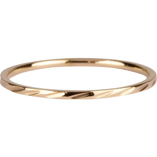 Charmins Goud stainless steel ring groen of blauw