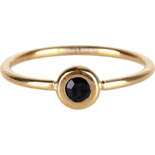 Charmins Goud stainless steel ring groen of blauw