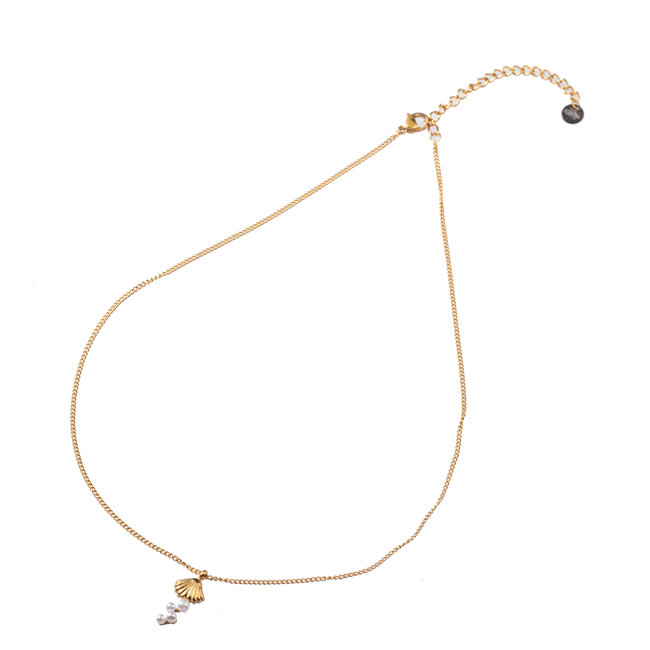 Day & Eve by Go Dutch Label Goud ketting met schelp of walvisstaart