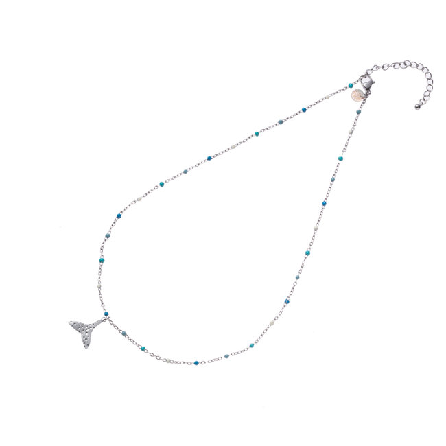 Zilver ketting met schelp of walvisstaart