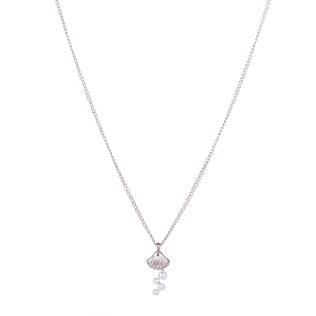 Zilver ketting met schelp of walvisstaart