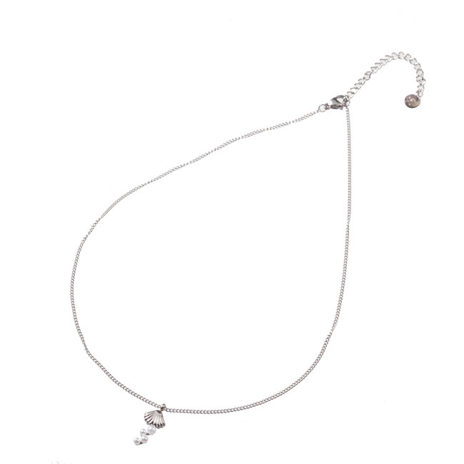 Zilver ketting met schelp of walvisstaart
