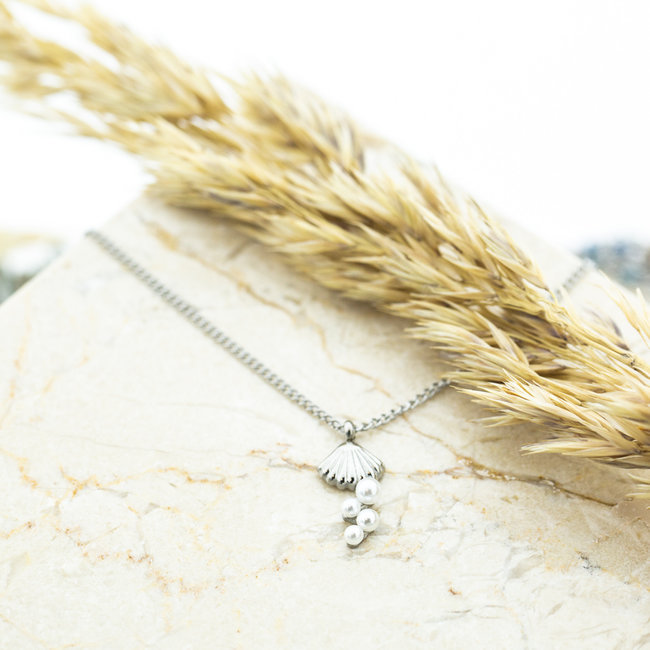 Zilver ketting met schelp of walvisstaart
