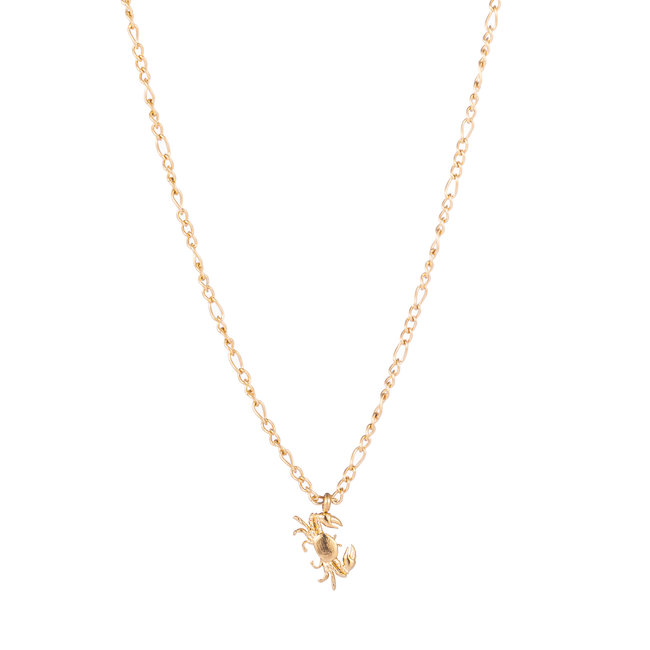 Day & Eve by Go Dutch Label Krab ketting goud
