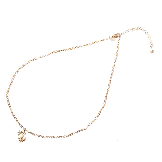 Day & Eve by Go Dutch Label Krab ketting goud
