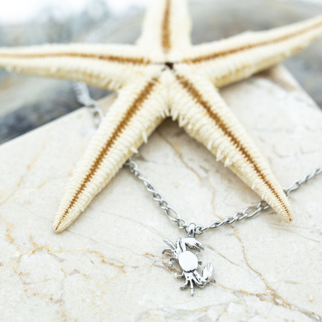 Zilver krab ketting