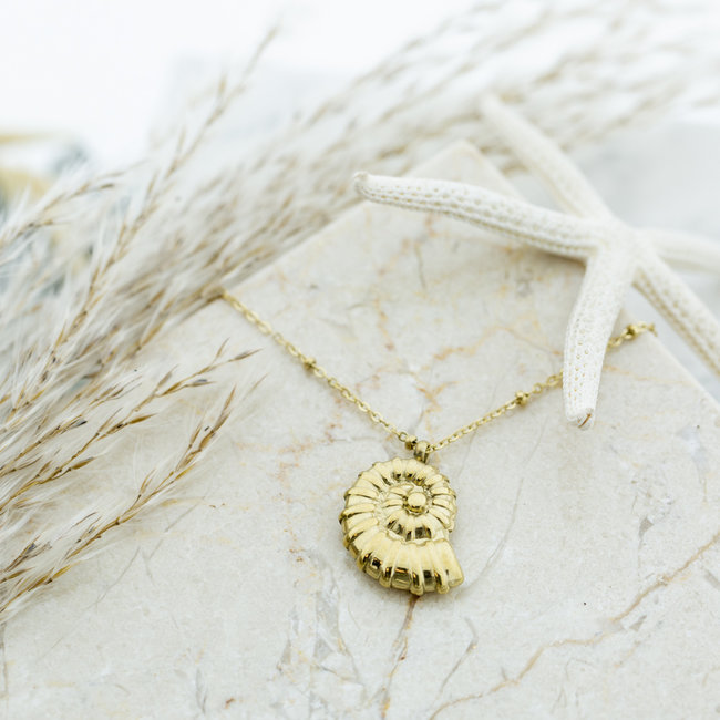 Goud ketting bolletjes schelp
