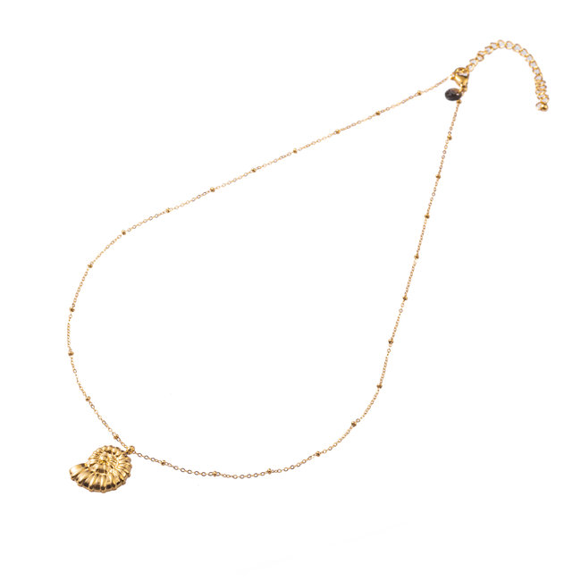 Goud ketting bolletjes schelp