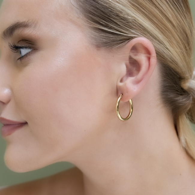 Day & Eve  Basic essentiels oorringen