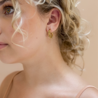 Day & Eve  Goud schakel oorbellen