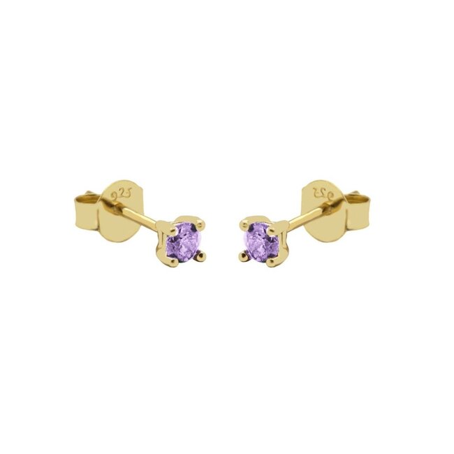 Goldplated Oorbellen met paars lavendel Steentjes