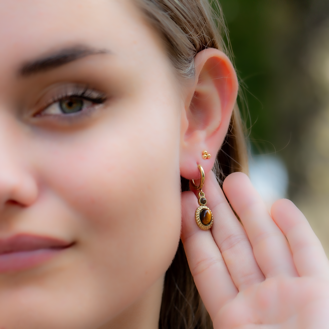 Day & Eve  Goud tijgeroog bruine steen oorbellen
