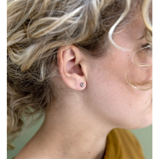 Day & Eve  Bolletjes oorstekers zilver