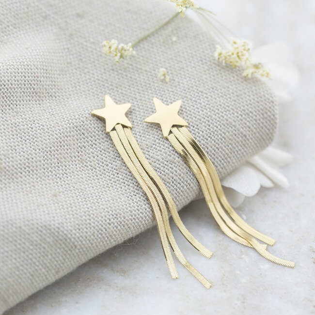 Day & Eve  Goud lange oorbellen met ster