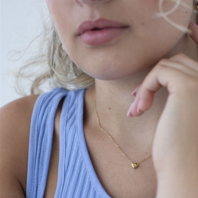 Day & Eve  Stalen ketting met klein goud hartje