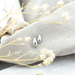 Day & Eve  Mini drops oorbellen zilver
