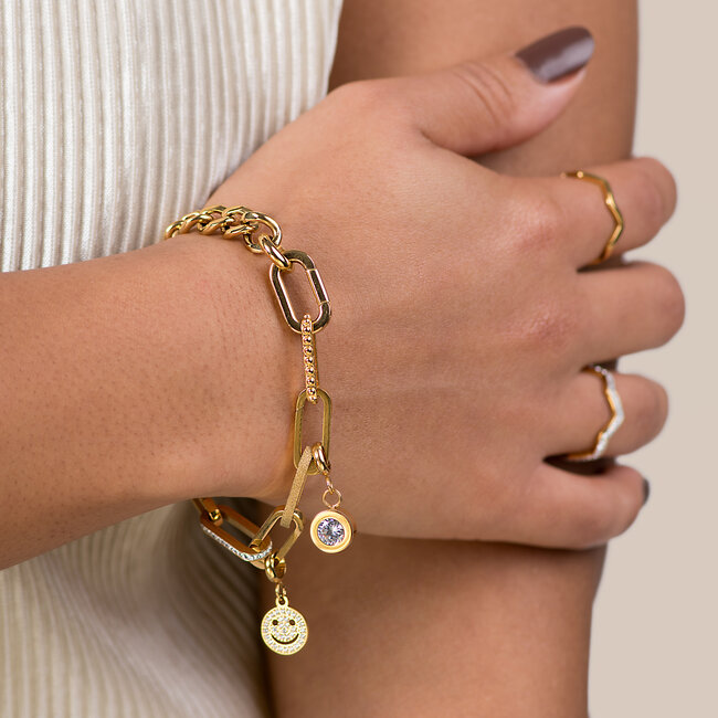 IXXXI Connect schakels biba