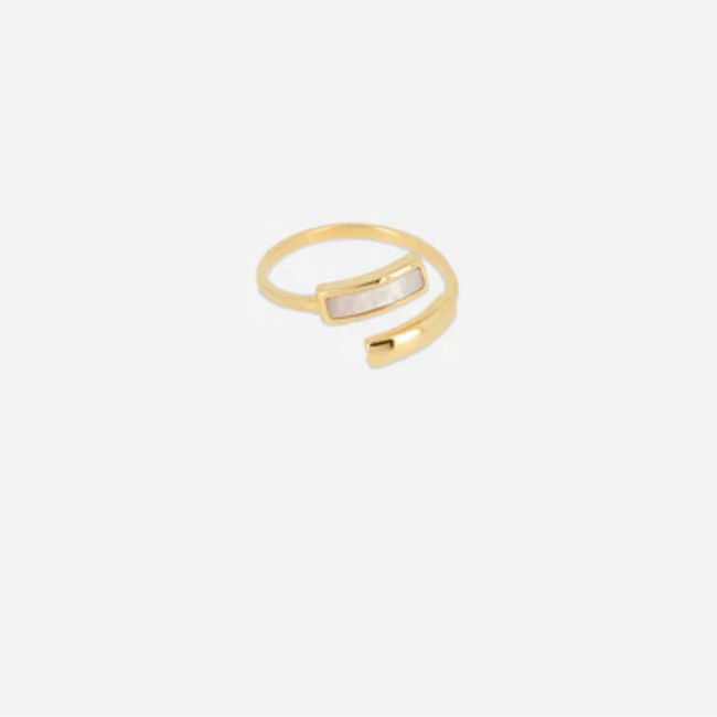 Stainless steel gouden klassieke ring met parelmoer