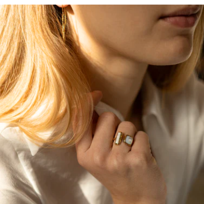 Stainless steel goud ring parelmoer