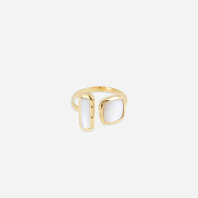 Stainless steel goud ring parelmoer