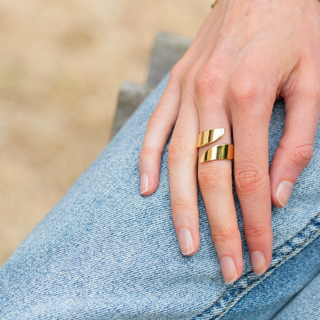 Stijlvolle stainless steel gouden ring