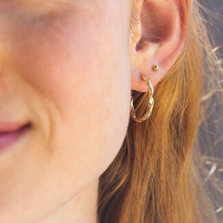 Day & Eve by Go Dutch Label Goud oorringen