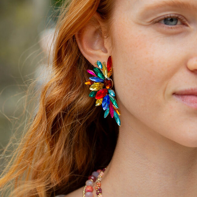 Biba Party ready papegaai gekleurde feest oorbellen