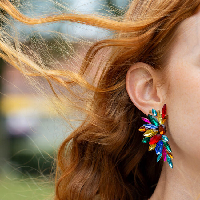 Biba Party ready papegaai gekleurde feest oorbellen