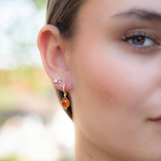 Beadle Crystal oorbellen