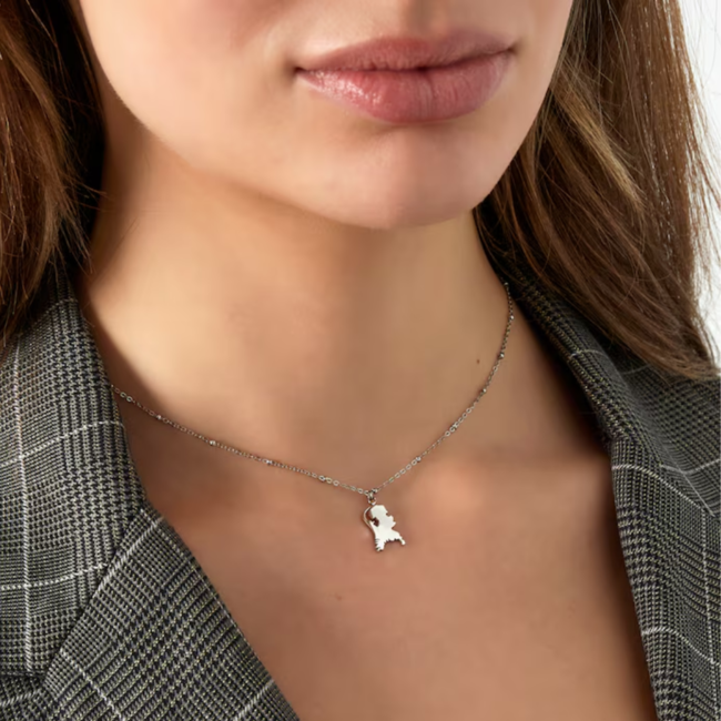 Nederland Zilver stainless steel ketting