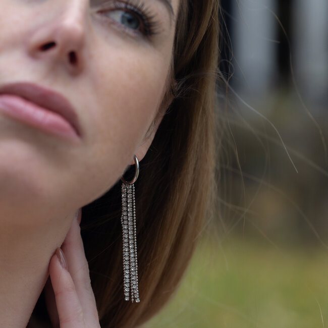 Beadle Zilver glitters