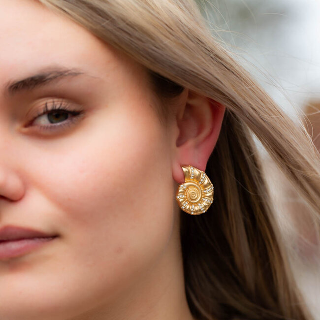 Biba Shine like a sea shell