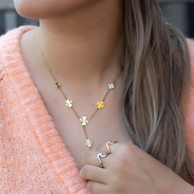 Beadle Stainles steel klaver ketting