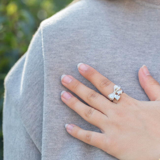 Beadle Zilver strikje