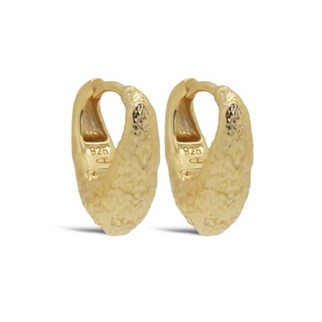 KARMA Goldplated zirconia shiny ear party vibes luxe glitter oorbellen - Copy