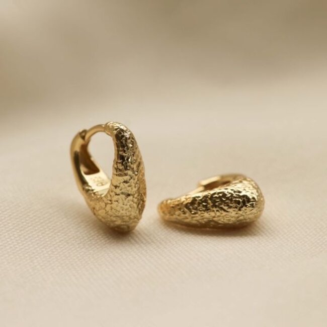 KARMA Goldplated zirconia shiny ear party vibes luxe glitter oorbellen - Copy