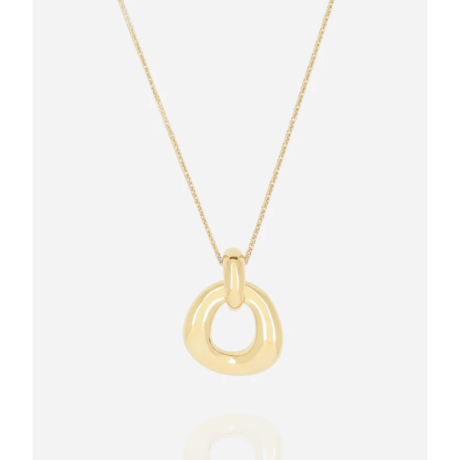 Stainless steel goud ketting met opvallende hanger