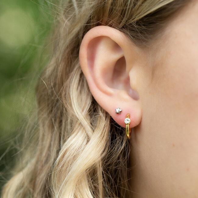 Beadle Basic kleine oorbellen met crystal steentje