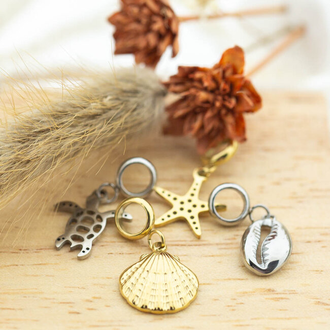 IXXXI Connect bedel Seabreeze schelpen zeester