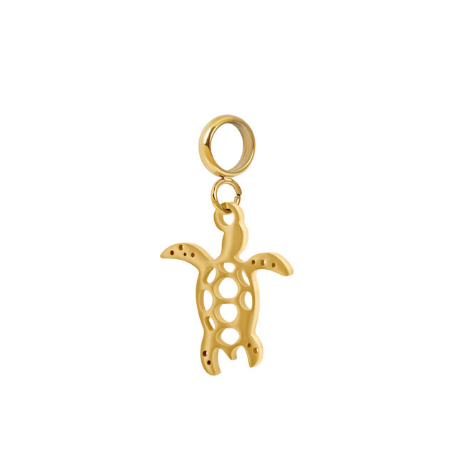 IXXXI Connect bedel Seabreeze schelpen zeester