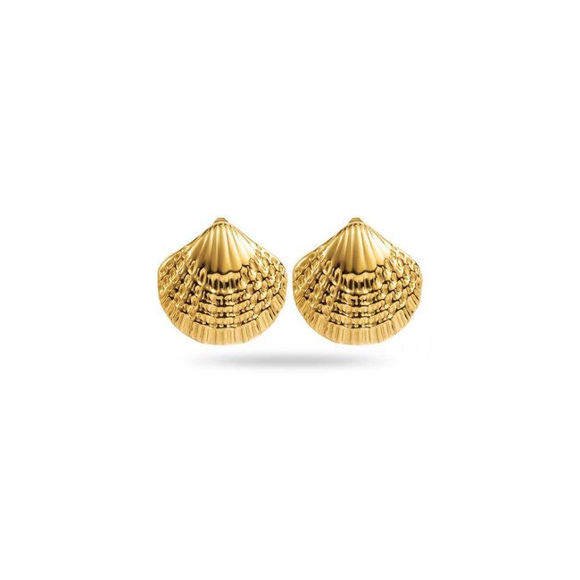 Grote schelpen zomerse gouden oorbellen