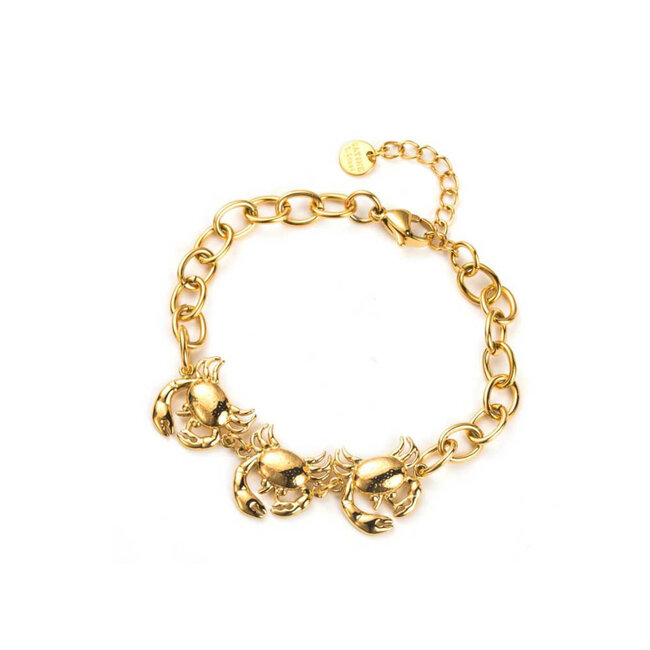 Beadle Statement grote opvallende krab ketting of krab armband