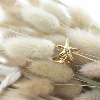 Beadle Starfish